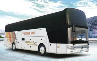 周末熱浪島四季恒溫水世界一日游，舊機動車煥發新活力