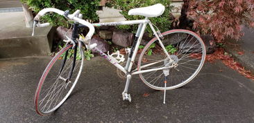 日本盧德摩托車代購(gòu)與二手市場(chǎng)指南 價(jià)格、渠道與購(gòu)買(mǎi)注意事項(xiàng)